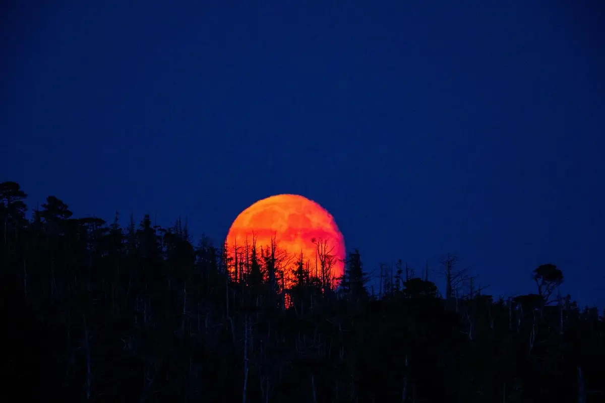 Eclipse lunar de agosto 2026: fecha y cómo verlo desde México 2 Prepárate para el eclipse lunar de agosto 2026 en México
