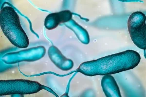 ¿Qué es la bacteria come carne y cuáles son sus síntomas?