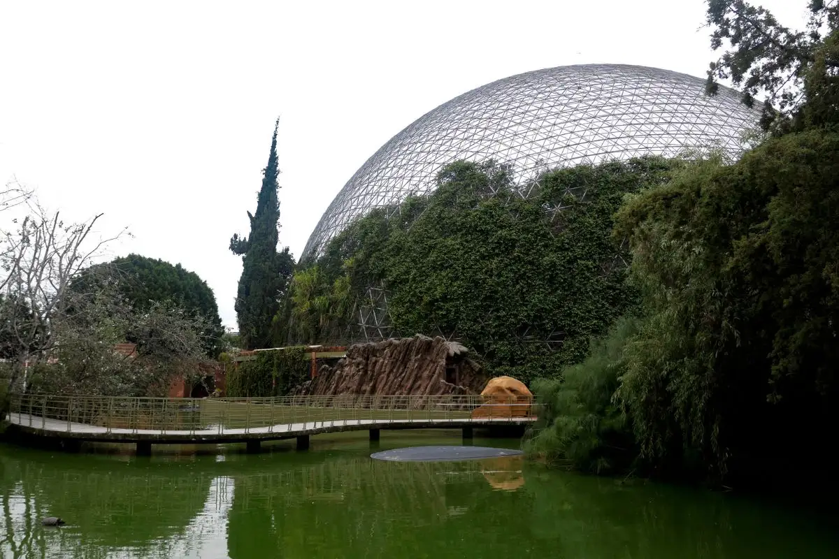 Los 5 parques en Puebla con actividades recreativas