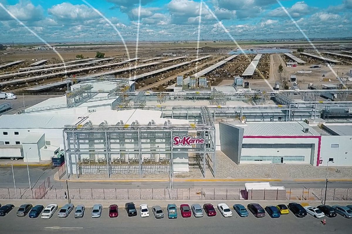 SuKarne concentra cerca del 75% de las exportaciones de carne de México | Foto: SuKarne