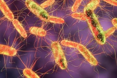 Brote de salmonella en EU: reportan más de 300 casos
