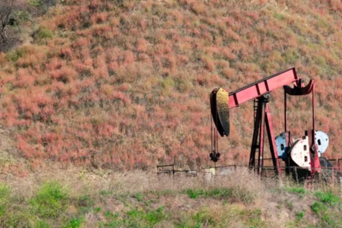 Sheinbaum niega haber prometido prohibir el fracking durante su conferencia matutina | Foto: Pexels