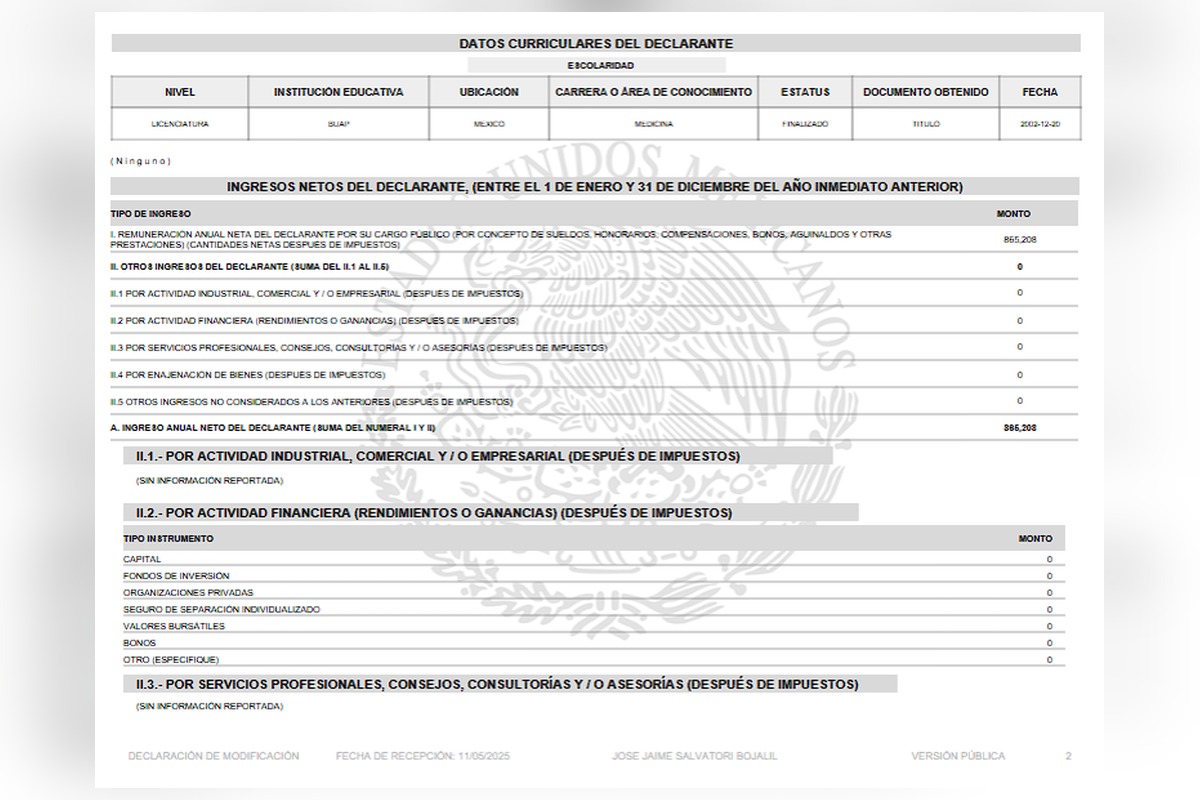 La declaración patrimonial de José Jaime Salvatori Bojalil, hermano de Nay Salvatori, consultada en la Plataforma Nacional de Transparencia | Foto: Cortesía