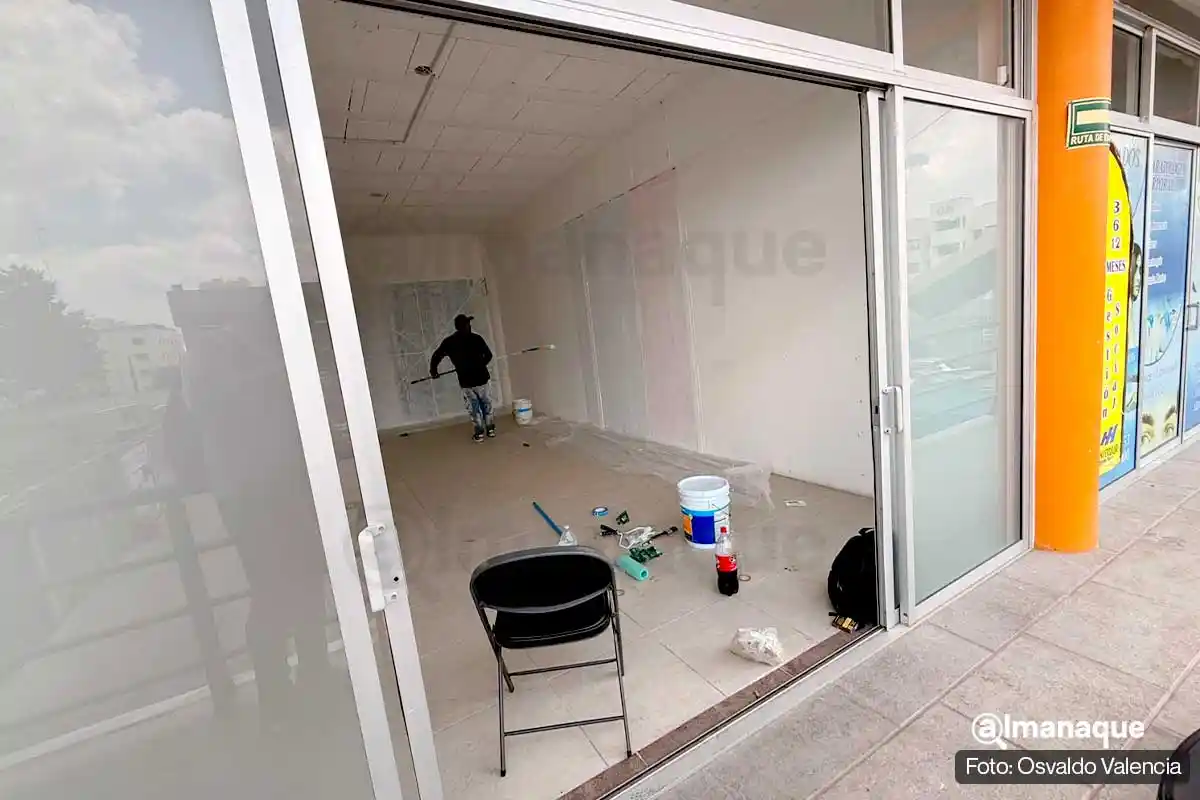 Grace Palomares acusó que vandalizaron su casa de gestión