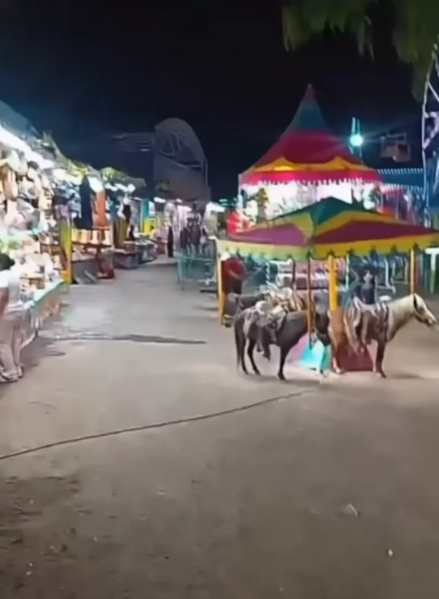 Joven patea a un pony en la feria en San Luis Potosí