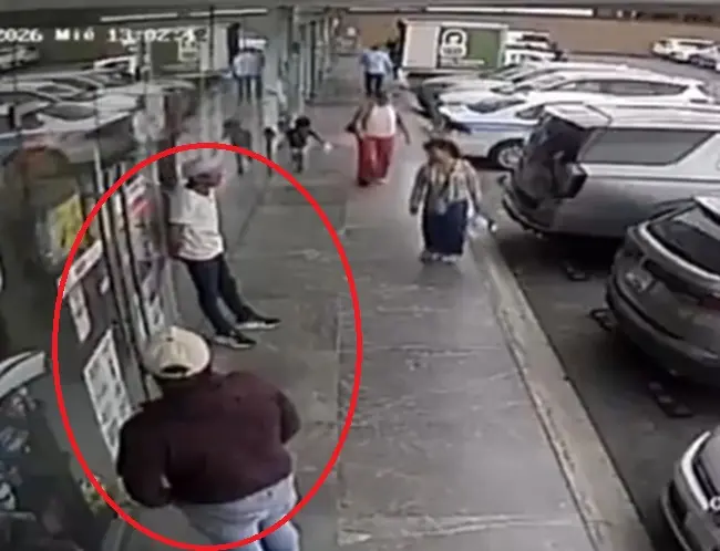 Robo en la Plaza Arco Lomas: tiran a mujer para quitarle bolsa