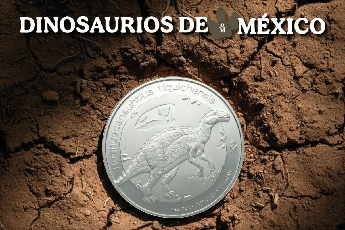 Lanzan monedas de dinosaurios y así puedes comprarlas