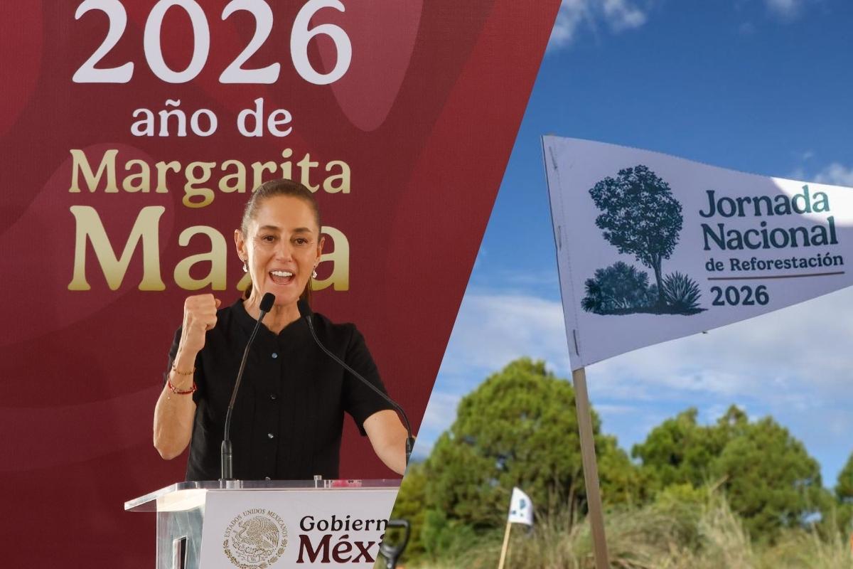 Claudia Sheinbaum inició en Puebla la jornada nacional de reforestación | Foto: Agencia Enfoque