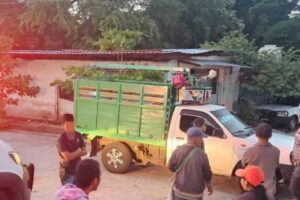 Balacean a madre en Michoacán: Ofelia N y su bebé murieron en Buenavista | Foto: Cortesía