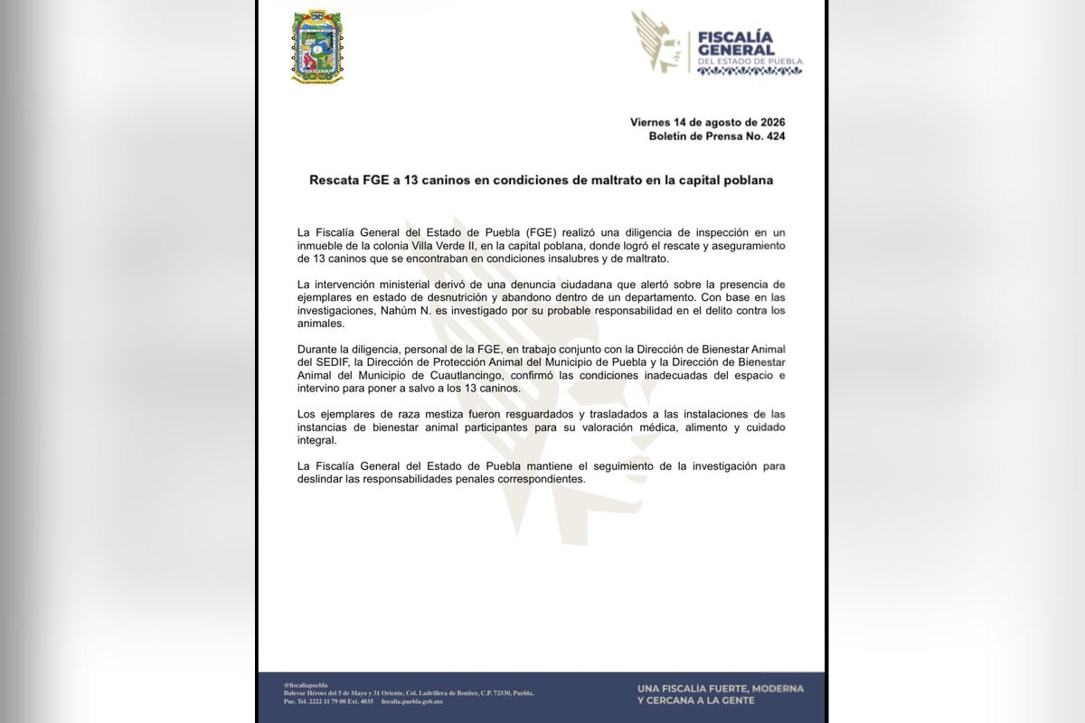 Boletín de la FGE Puebla sobre el rescate de 13 caninos en condiciones de maltrato | Foto: FGE Puebla