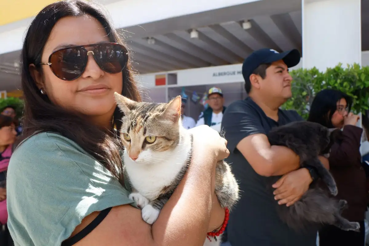 Árboles, arena, alimentos y ropa: así fue el Michi Fest Puebla 2026 2 Así fue el Michi Fest 2026 en Puebla: arena, alimentos y ropa
