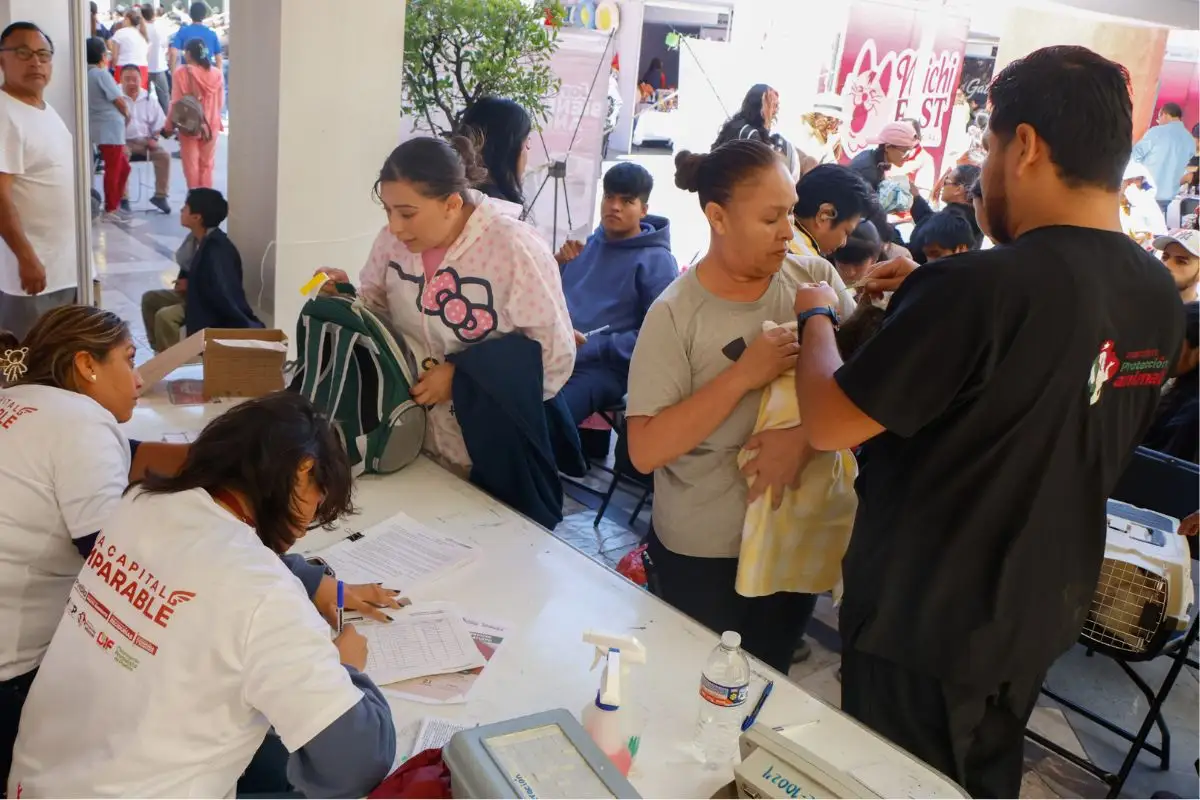Así fue el Michi Fest 2026 en Puebla: arena, alimentos y ropa