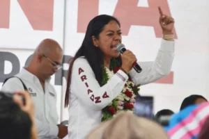 Ariadna Ayala se deslindó de Antonio “N”, su secretario de seguridad