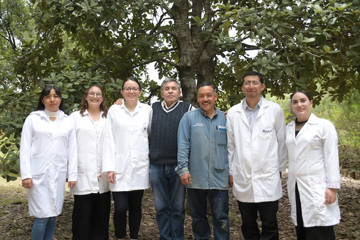 Crean nanomateriales en la BUAP para combatir plagas por gusano barrenador