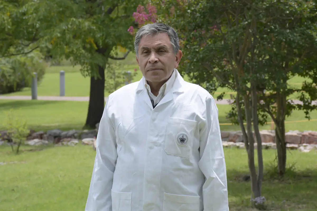 Crean nanomateriales en la BUAP para combatir plagas por gusano barrenador 2 Crean nanomateriales en la BUAP para combatir plagas por gusano barrenador