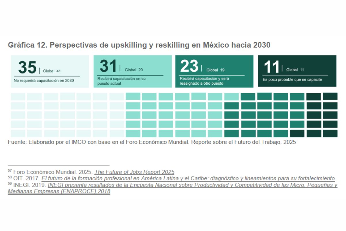 Profesionistas en México deberán actualizarse: diagrama de upskilling del IMCO | Foto: IMCO