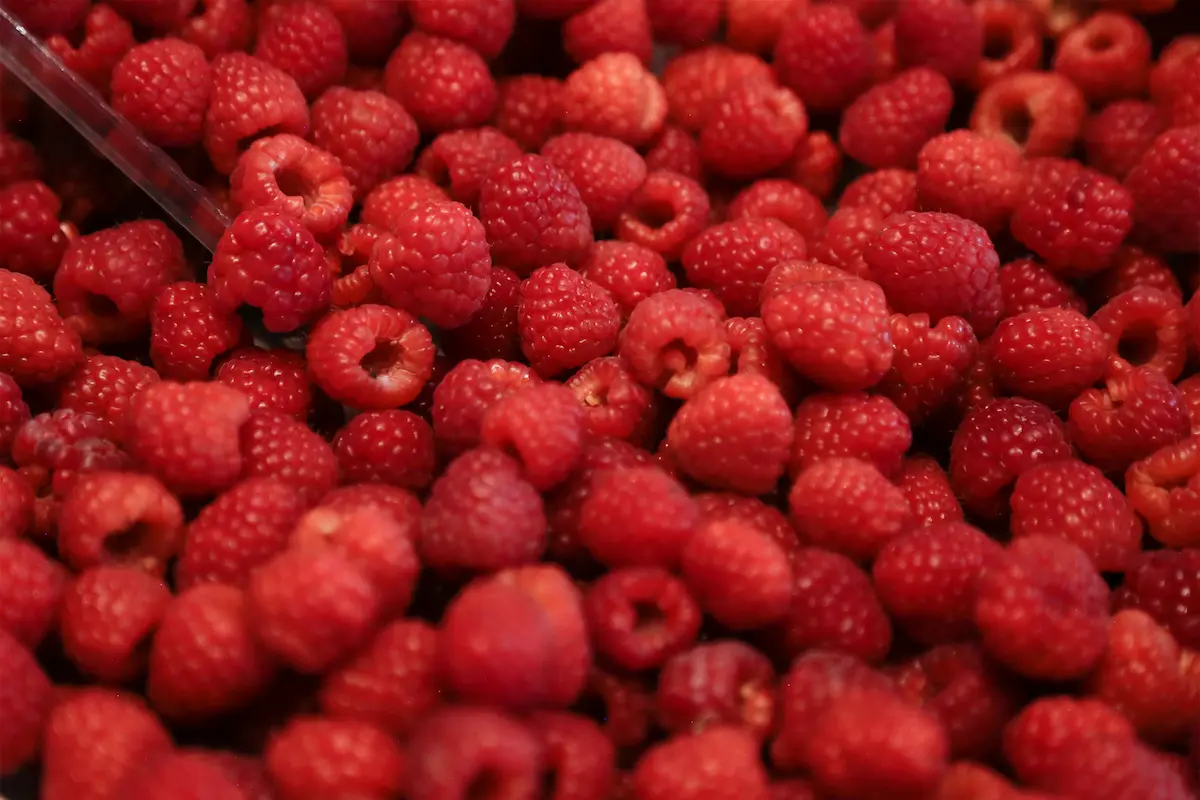 Ruta de las Berries de Huejotzingo