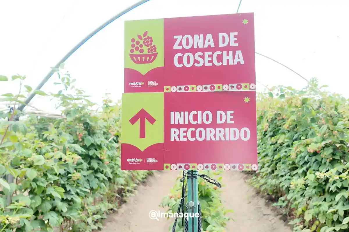 Ruta de las Berries de Huejotzingo: fechas, precios y lo que encontrarás 5 Ruta de las Berries de Huejotzingo 4