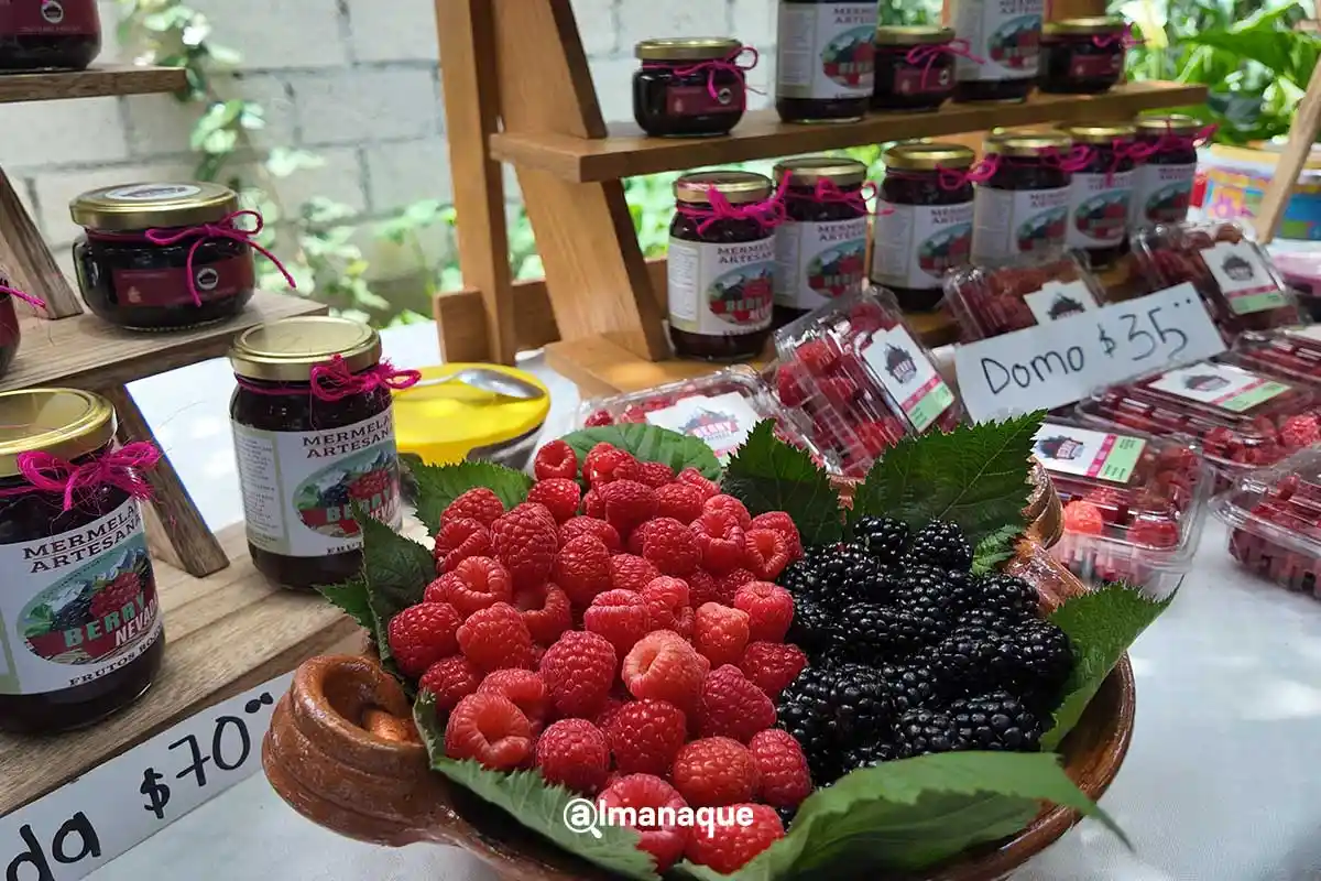 Ruta de las Berries de Huejotzingo: fechas, precios y lo que encontrarás 2 Ruta de las Berries de Huejotzingo