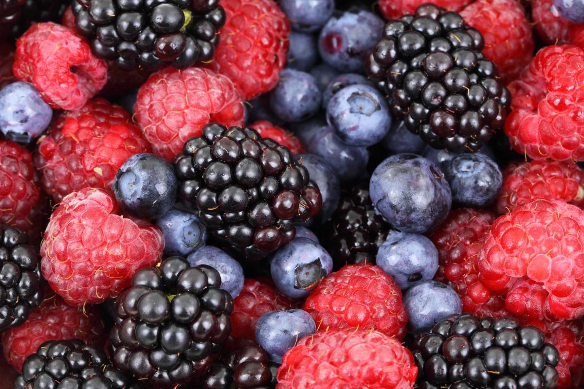 frutos rojos congelados con e coli PORTADA
