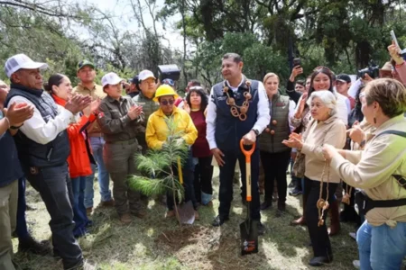 Gobierno estatal siembra futuro con bosques y agua limpia para las próximas generaciones