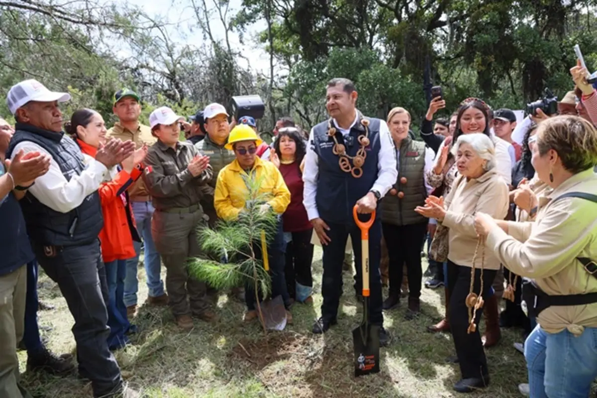 Gobierno estatal siembra futuro con bosques y agua limpia para las próximas generaciones