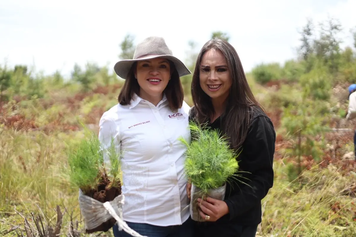 Ayuntamiento de Zacatlán se suman a jornada estatal de reforestación