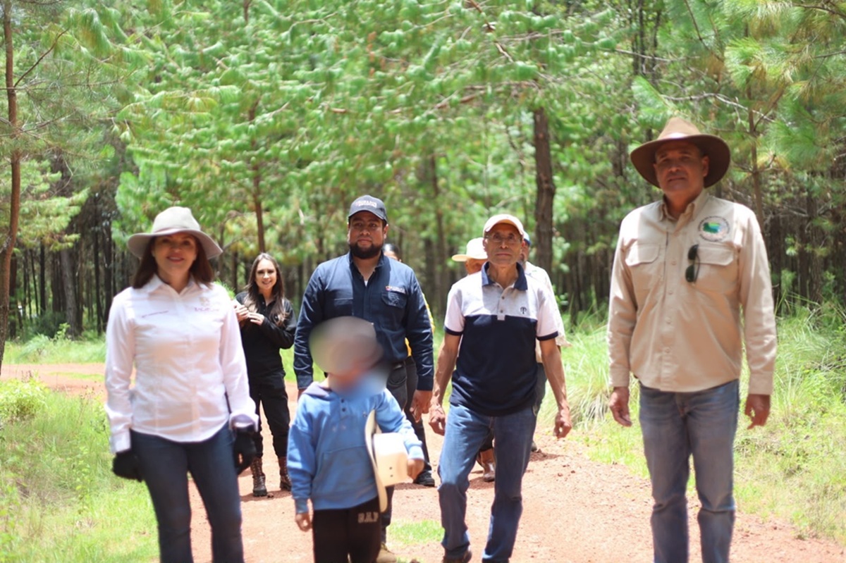 Ayuntamiento de Zacatlán se suman a jornada estatal de reforestación