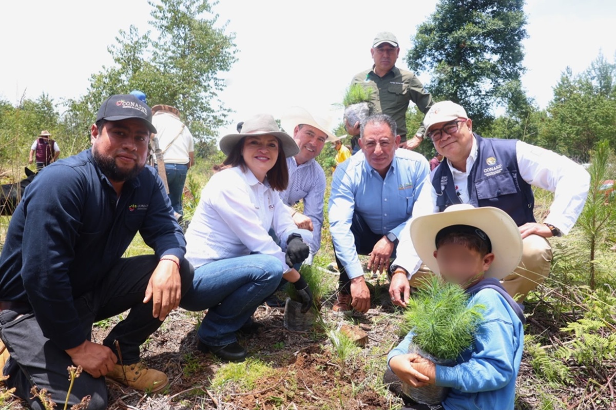 Ayuntamiento de Zacatlán se suman a jornada estatal de reforestación