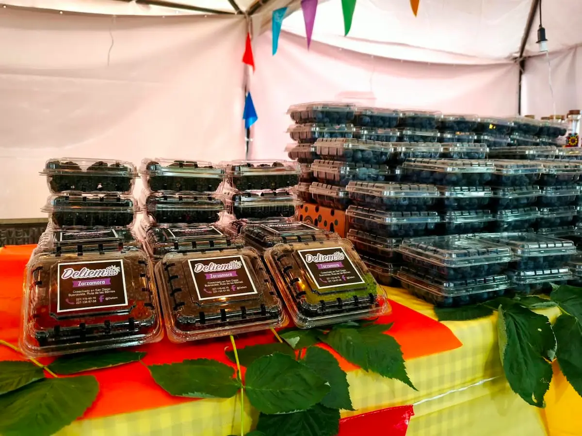 Sabor, gastronomía y ambiente familiar en el segundo día de la Feria de las Berries en Huejotzingo