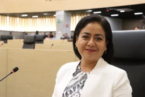 Propone diputada Celia Bonaga acciones permanentes para la actualización y digitalización de actas emitidas por el Registro Civil  