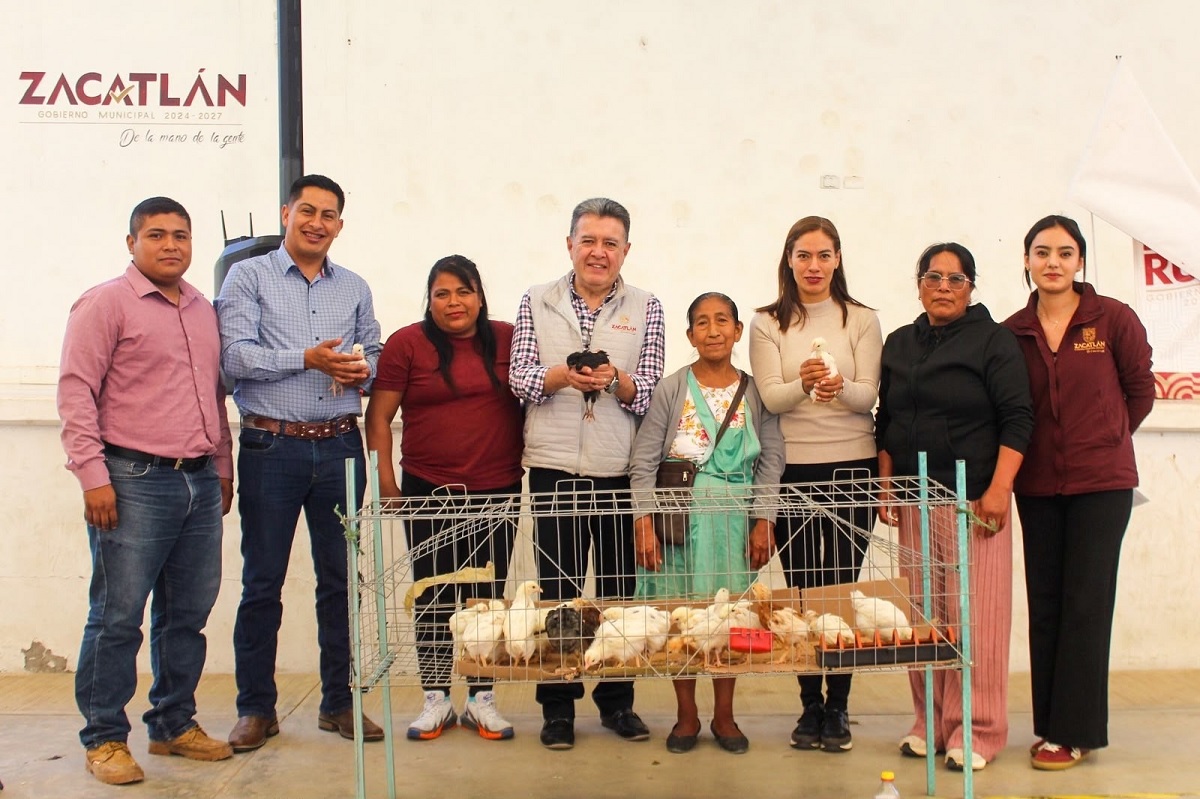 Ayuntamiento de Zacatlán entrega aves de postura en apoyo de la economía familiar