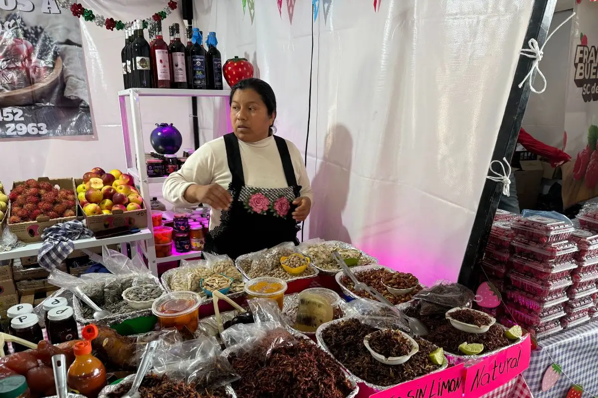 Feria de las Berries 2026: esto encontrarás en Huejotzingo 4 Feria de las Berries 2026: esto encontrarás en Huejotzingo