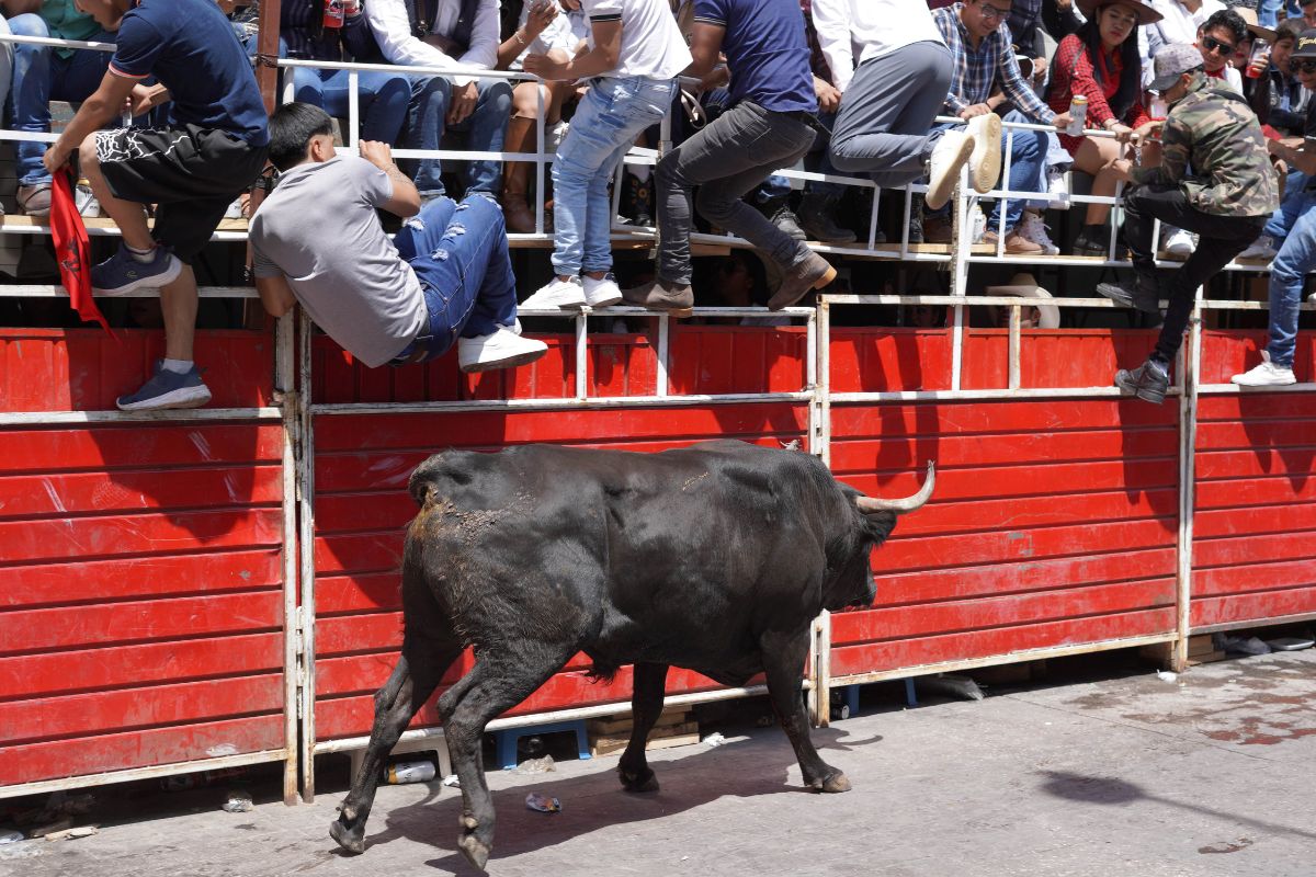 Huamantlada 2026 en Huamantla, Tlaxcala | Foto: Agencia Enfoque