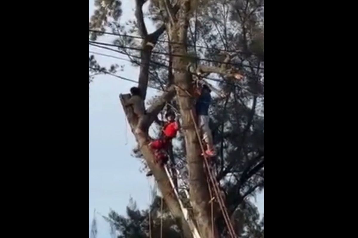 Rescate de Montaña y Rescate Urbano de Cruz Roja Tehuacán trabajaron más de tres horas para liberar al hombre | Foto: Cortesía