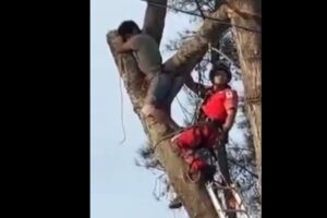 Prensado por rama en Tehuacán: hombre queda atrapado a 20 metros de altura | Foto: Cortesía