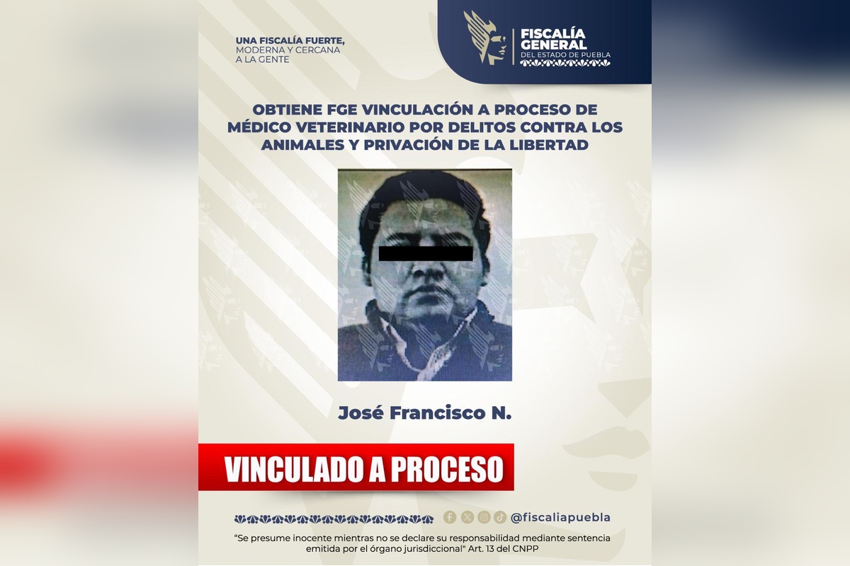 Vinculan a proceso a veterinario por secuestrar a un perro 2 Imagen ilustrativa | Foto: Cortesía