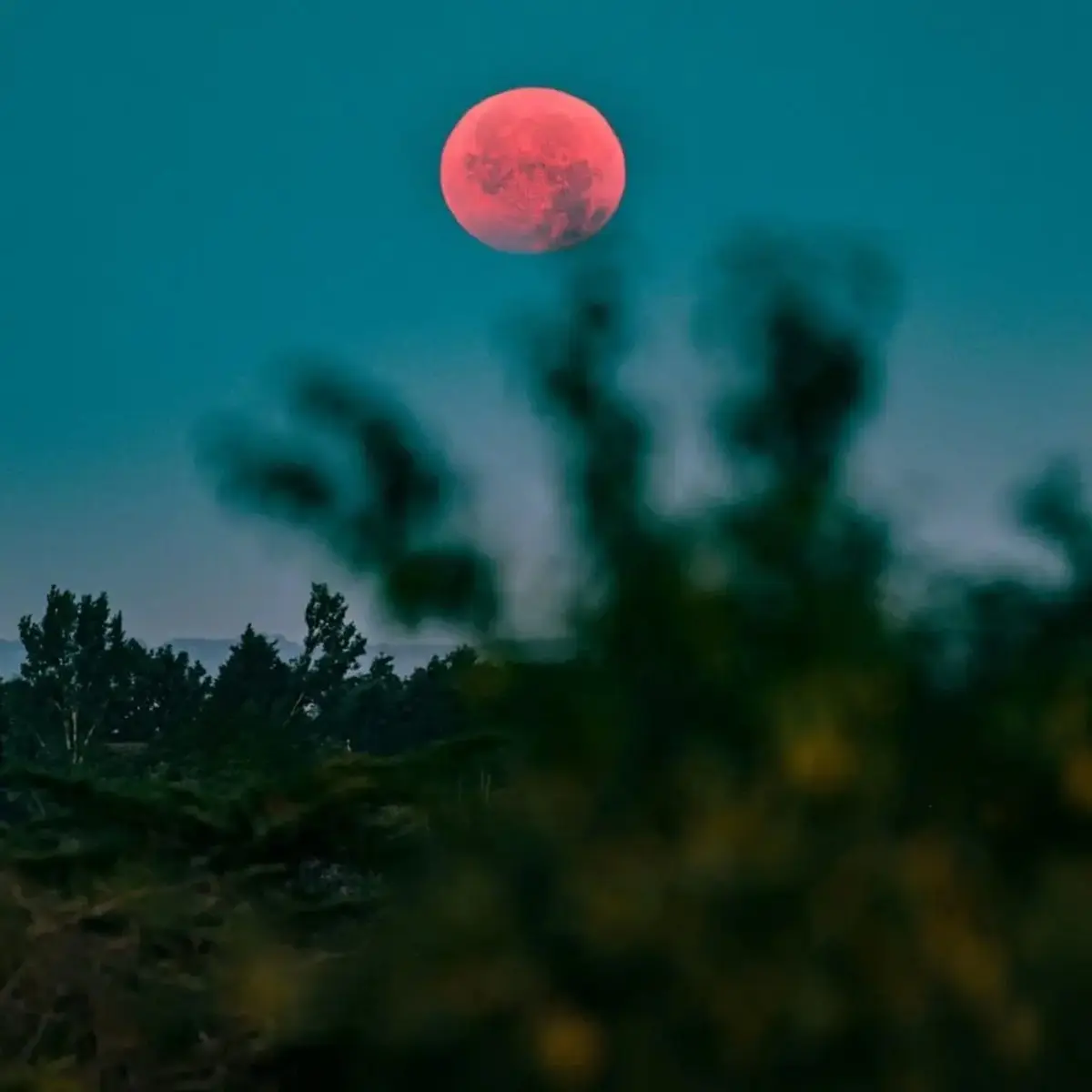 Horario para ver el eclipse lunar del 27 de agosto en México