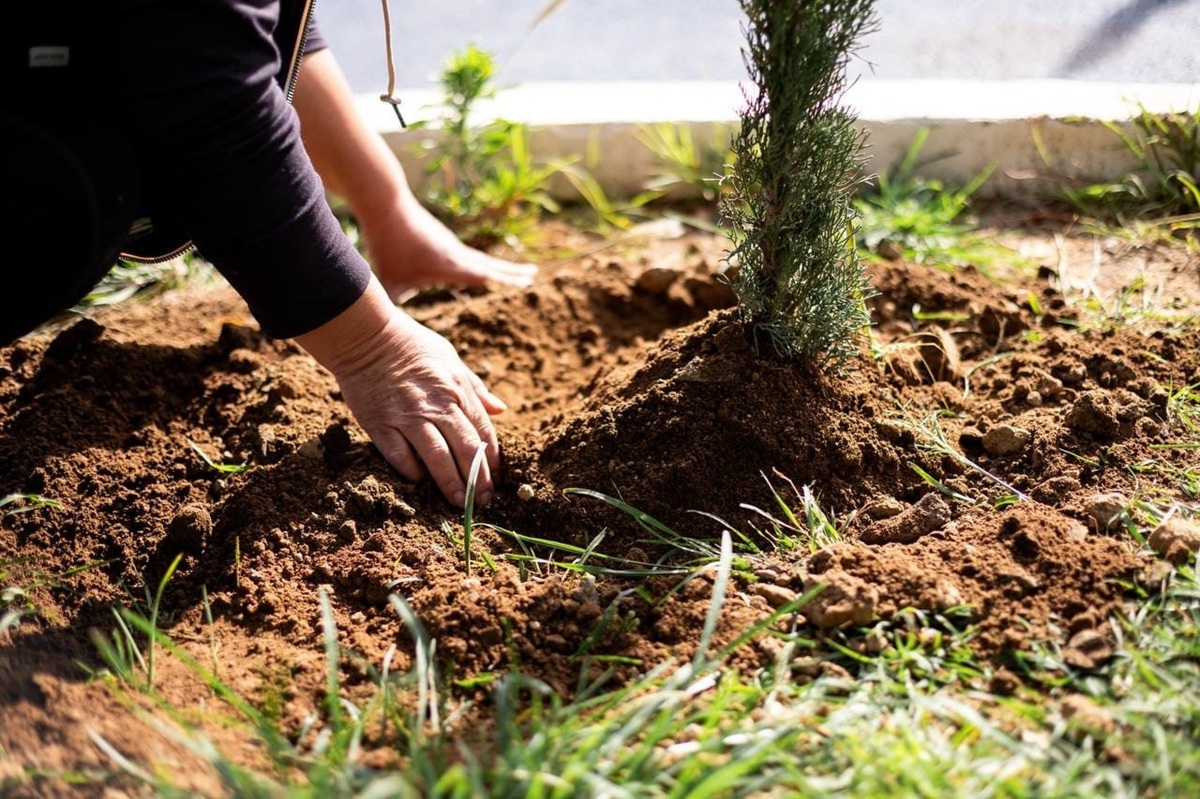 Con la reforestación sembramos un mejor futuro para San Andrés Cholula: Lupita Cuautle