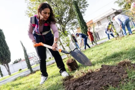 Con la reforestación sembramos un mejor futuro para San Andrés Cholula: Lupita Cuautle 18 Con la reforestación sembramos un mejor futuro para San Andrés Cholula: Lupita Cuautle