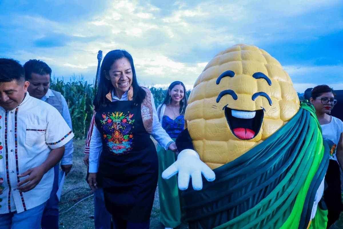 Ariadna Ayala confirmó que se amparó