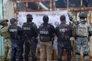 Aseguran inmueble donde sembraban marihuana en Puebla
