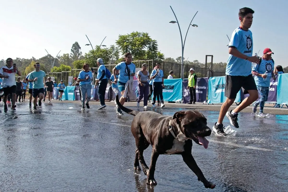 Carrera Universitaria BUAP 2026: fecha, registro y categorías
