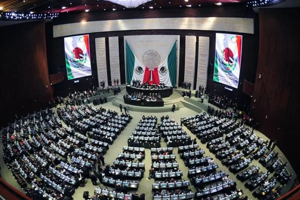Diputados federales de Morena no renunciarán para buscar reelección