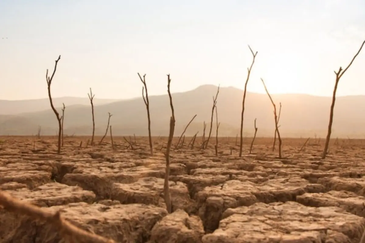 El Niño dejará sin comida a 16 millones de latinoamericanos