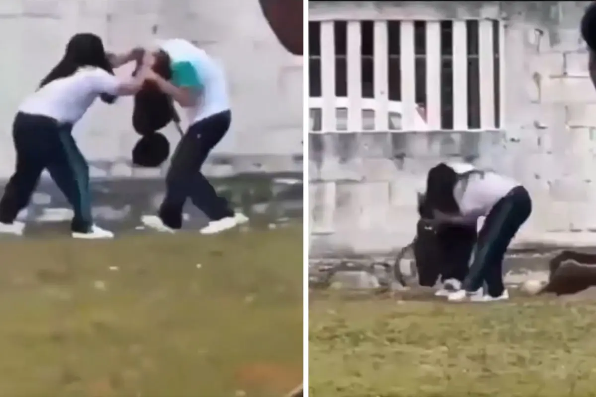 (VIDEO) Alumna golpea a su compañero del Colegio de Bachilleres de Cozumel 18 Alumna golpeó a su compañero del Colegio de Bachilleres