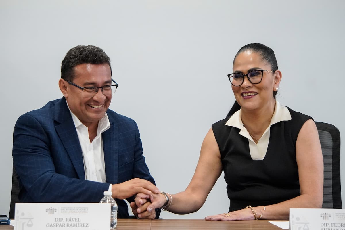 Guadalupe Bárcenas renuncia a la alcaldía de Acatlán
