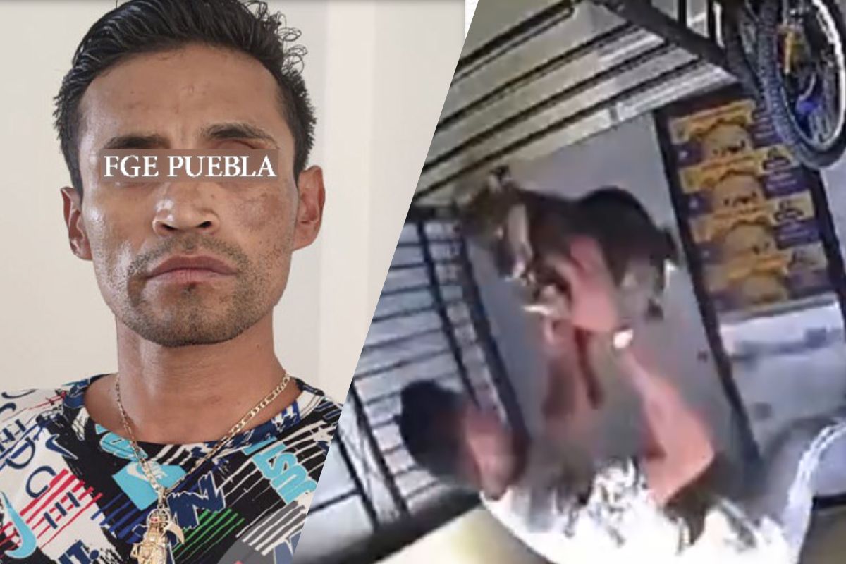 Sentencian a agresor de perrita Enedina tras arrojarla de un tercer piso en Huejotzingo | Foto: Cortesía