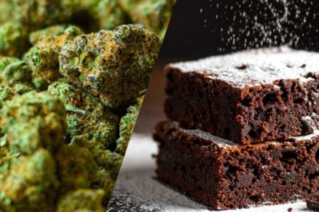 SCJN legaliza el autoconsumo de alimentos con cannabis, como brownies y gomitas 11 Sesión del Pleno de la Suprema Corte de Justicia de la Nación | Foto: Cortesía