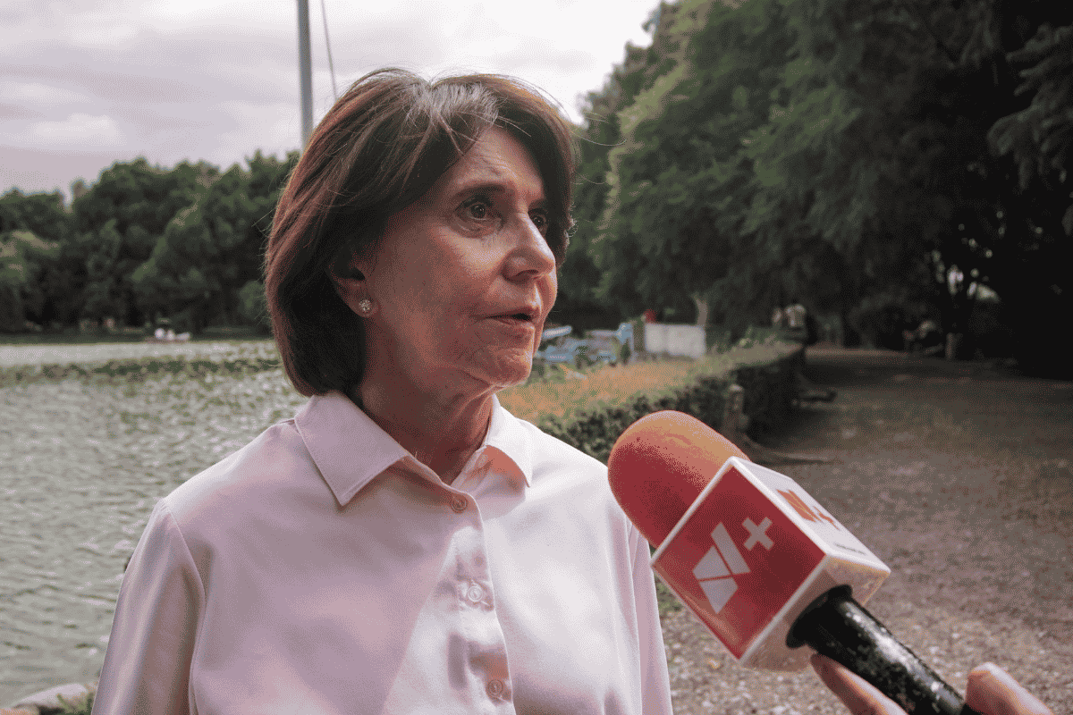 veronica mastretta cocodrilo de lalaguna de san baltazar